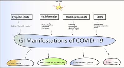 Is diarrhea symptom of covid 19